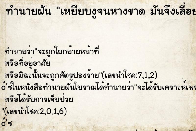 ทำนายฝันเหยียบงูจนหางขาดมันจึงเลื่อยตาม ทำนายฝันทำนายฝันเหยียบงูจนหางขาดมันจึงเลื่อยตาม